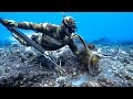 Spearfishing and octopus hunting in hawaii catch and cook