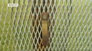 pp20100101_escape_sd.mp4