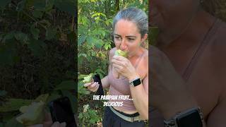 Eat em’ if you got em’… Pawpaws #nature #wildlife #hunting #fishing #outdoors #hiking #foraging