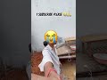 1 subscribe please 😭🙏#funnymeme #emotional #viral #love #support