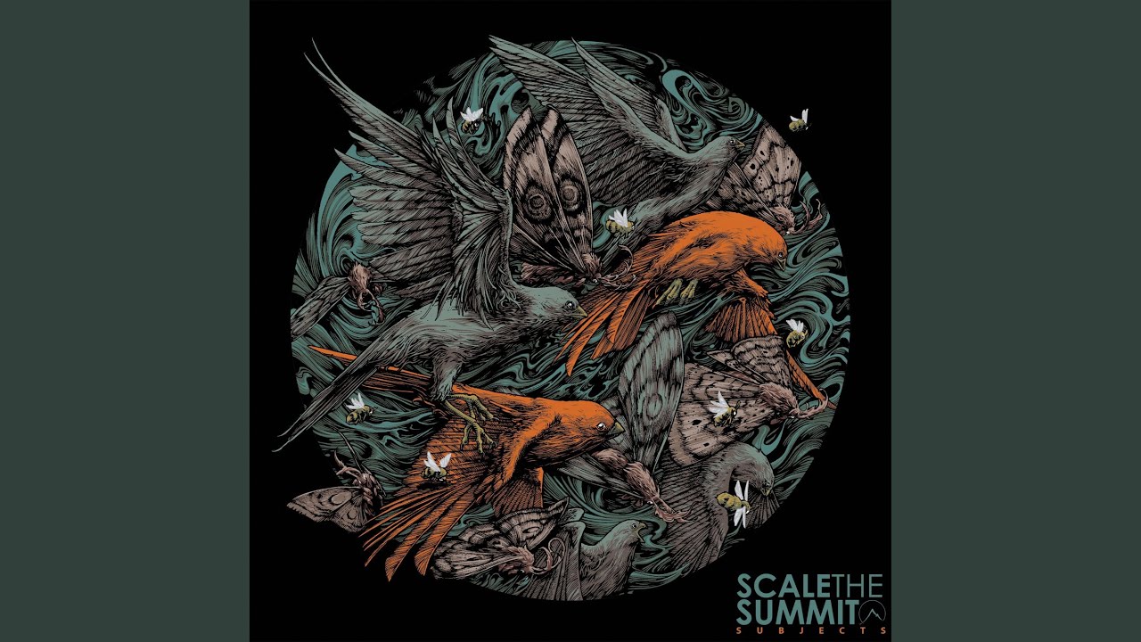 Scale the Summit - Dont Mind Me (feat. Garrett Garfield) acordes