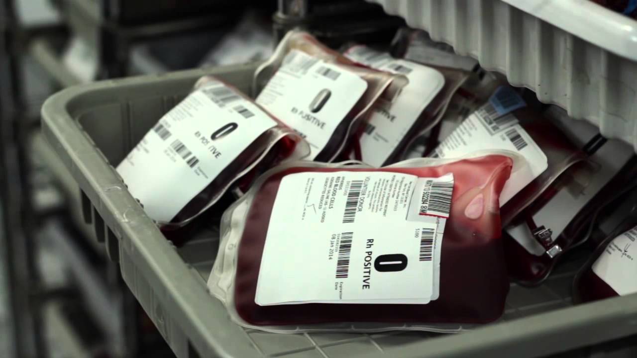 New York Blood Center NPO YouTube