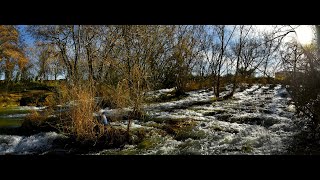 OLite - Tafalla - Pueyo - NAvarrA - 2024 03 13