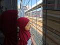 Aliya dadah sama siapa #trandingshorts