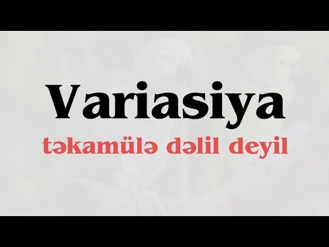 Video: Bitkilərdə variasiya nədir?