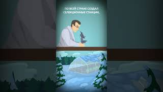 Как русский генетик придумал, как накормить весь мир - Николай Вавилов #СССР #наука #история