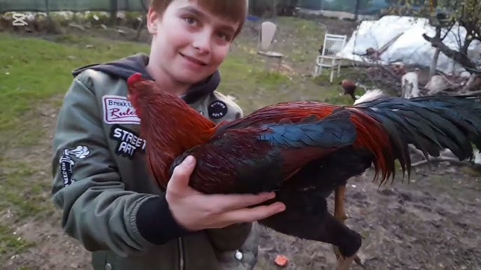 Yalangoch Salma Hayekni tomosha qiling Chiroyli jinsiy aloqa porno surat