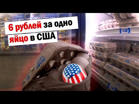 Сколько стоят яйца в Америке