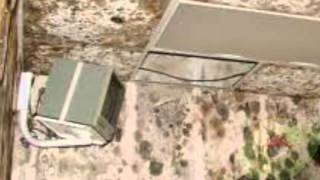 Why Black Mold Removal in Tallahassee FL is so Important ?