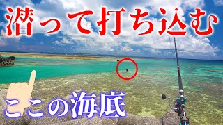 魚の聖域に潜って餌を直接打ち込む!【宮古vs石垣釣り対決#8】