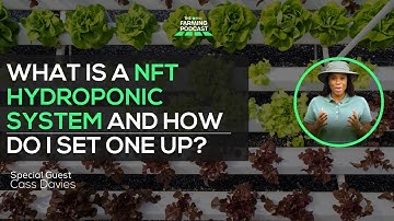 WHAT IS A NFT HYDROPONIC SYSTEM AND HOW DO I SET ONE UP? | The Gardening Series