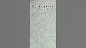 Day 2 of looping until I go viral Subscribe!!! #shorts #viralshorts #loop