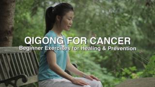 Qigong for Cancer Healing and Prevention by Helen Liang - DVD Introduction screenshot 2