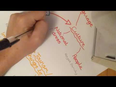 Literacy - Info Text Planning 3