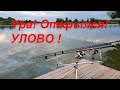 Ура, открылся! Улово.