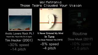 Wolfytronic - Those Tears Clouded Your Vision [Sample Guide]
