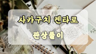 관상과학 일본배우 사카구치 켄타로 관상 「구설수를 휘몰고 다니는 관상​」