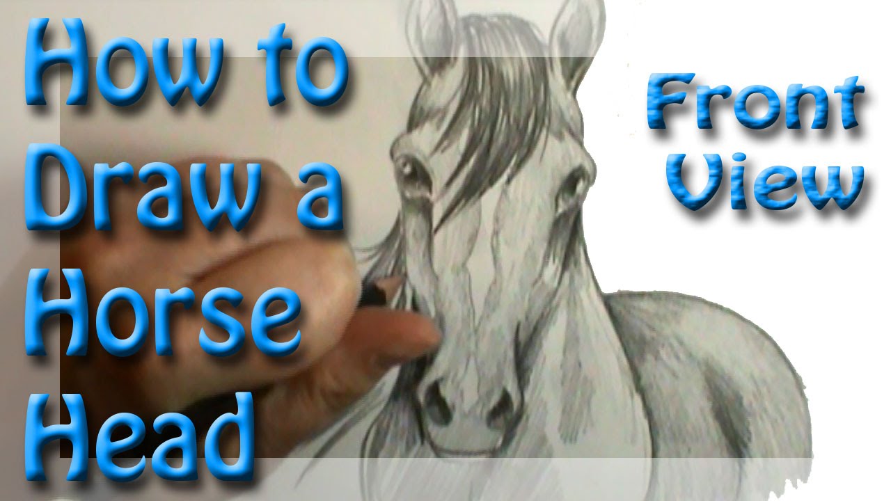 How to draw a Horse Head Front View - YouTube