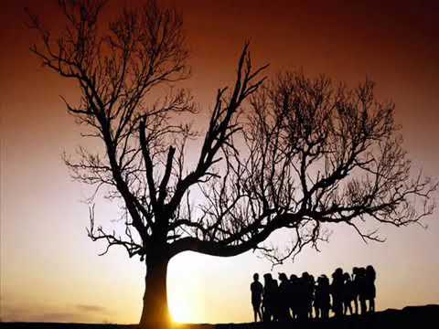 أكيد مشاعرها مكسورة ولو نسيتني معذورة