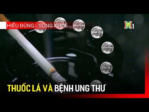 Thuốc lá và bệnh ung thư | Hiểu đúng - Sống khỏe