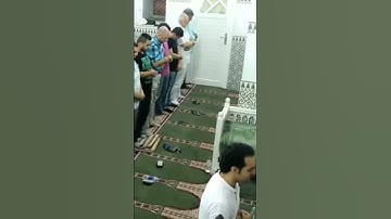 ماتيسر من سورة الزمر القارئ عمر شلبي