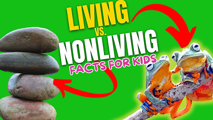 Living vs. Nonliving Things (Facts For Kids)