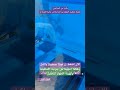 كيفية تشغيل جهازmaglumi 600 من البداية الجزء الاول اكسبلور Youtubeshorts Ytshorts Youtube 