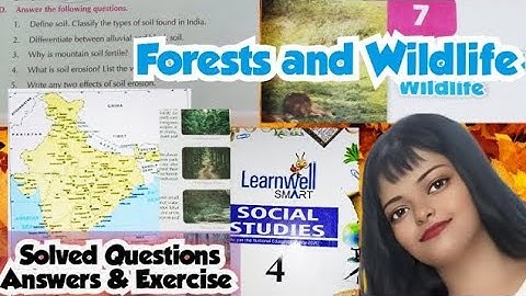 Forests and Wildlife | NwLrnwll Social Studies Clss 4 | Solved Qstn Answr & Exercis | Princess Tiara