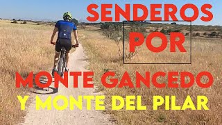 Senderos Monte del Pilar y Monte Gancedo