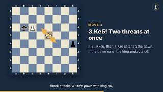 Réti's Impossible Draw: The King Endgame Trick Every Player Should Know