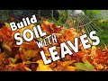 Nature Builds Soil This Way 🍂 🍁 So Should You! 🍂 🍁