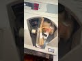 Vintage Counting Machine: A Blast from the Past