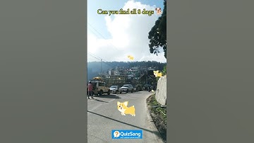 🐾 Find All the Dogs Challenge | Eye Test Quiz