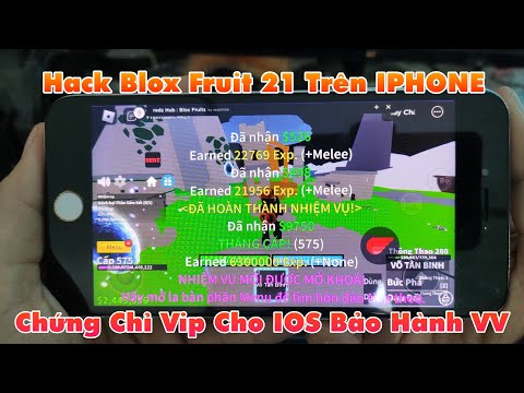 cách hack hack Blox Fruit 21 trên IPHONE đơn giản nhất 2024 #hackbloxfruits #hackroblox