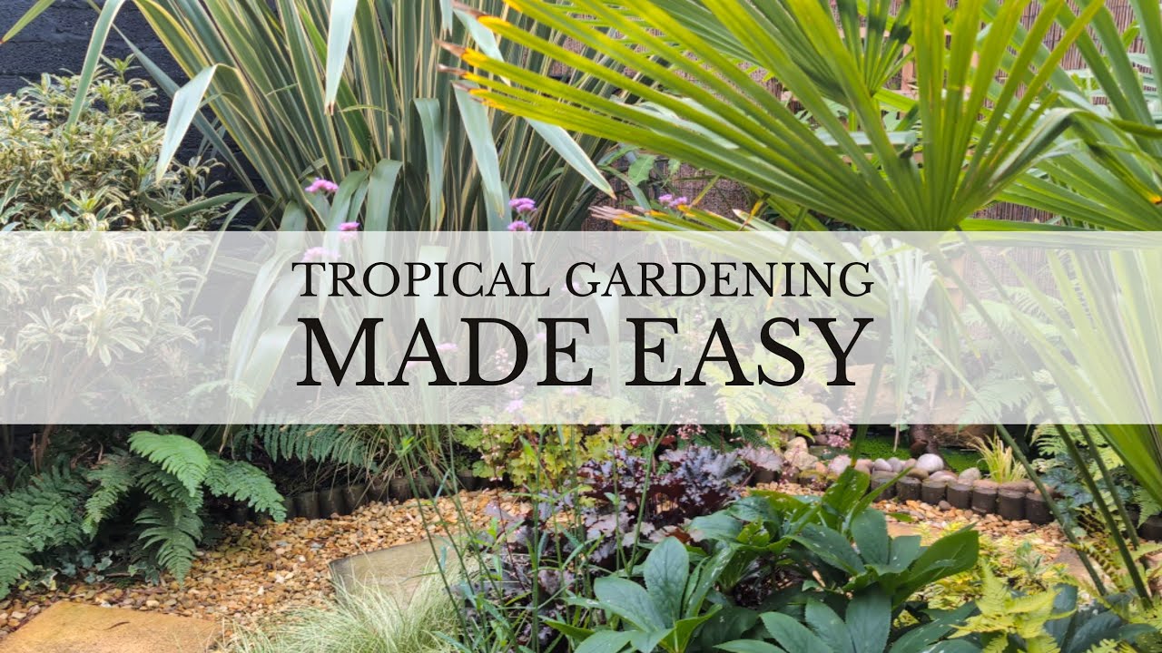 162. Как поддерживать пышный тропический сад круглый год - Великобритания