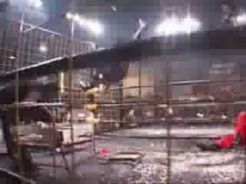 czw tribute - YouTube