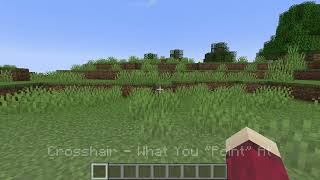 PDL Minecraft Tutorial Pt.1 - Controls & Blocks