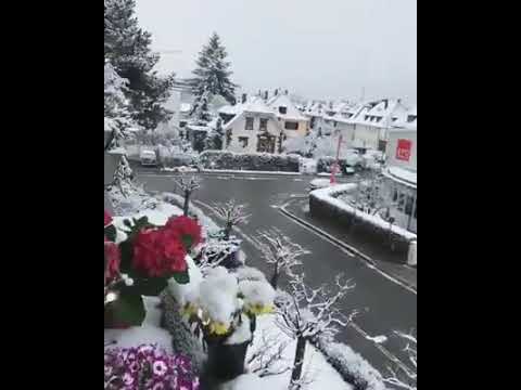 يا رب صلي على النبي وآله صلو على المختار احمد انه بياض الثلج رائعة