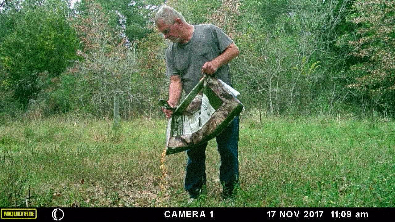 Wild Rabbits Play Leap Frog YouTube