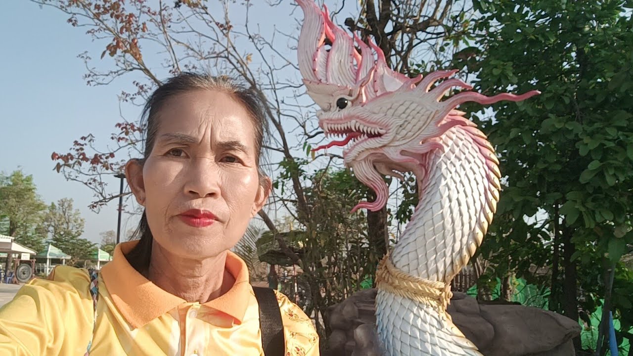 สด  ป้าจะเดินทางไปไหนไปกับใคร