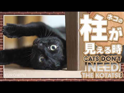 猫の柱が見える時