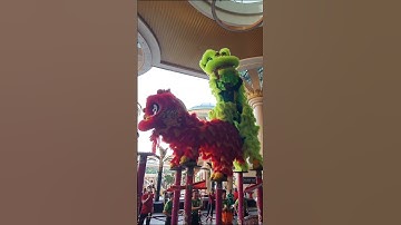 Thumbnail of Acrobatic Lion Dance - Double Lion Performance