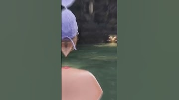 proof we are not alone PT.2 😱