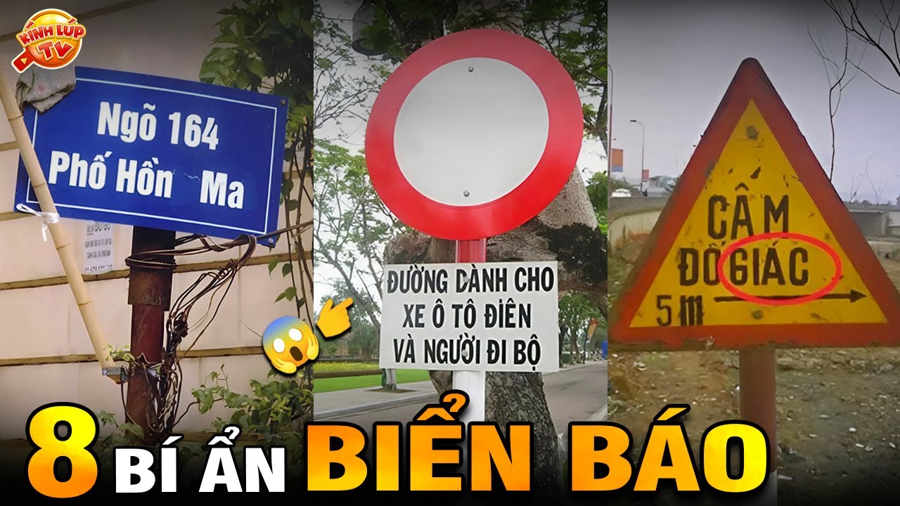 🔥 Tại Sao Biển Báo Có Hình Tròn, Vuông, Tam Giác và 8 Bí Ẩn Ly Kỳ 99% Bạn Chưa Biết | Kính Lúp TV