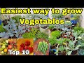 Top 10 vegetables to grow at home