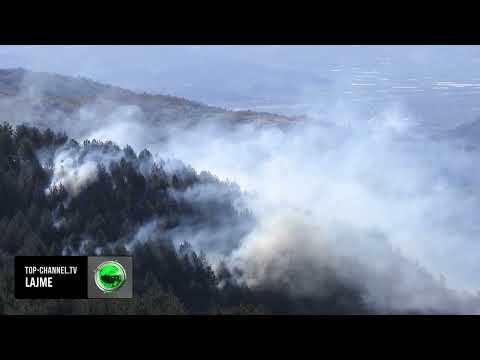 Video: Në anëtarët likuidim vullnetar?