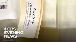 Convalescent plasma therapy showing promise as coronavirus treatment