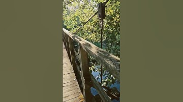 I found a Geocache in the Suspension Bridge #geocache #geocaching #geocachers