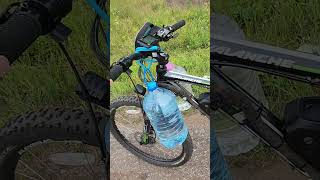 How to Lure Bobcat In the Forest? DIY Large Drinking Fountain #bobcats  #diy