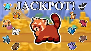 Playing the Red Panda Lottery